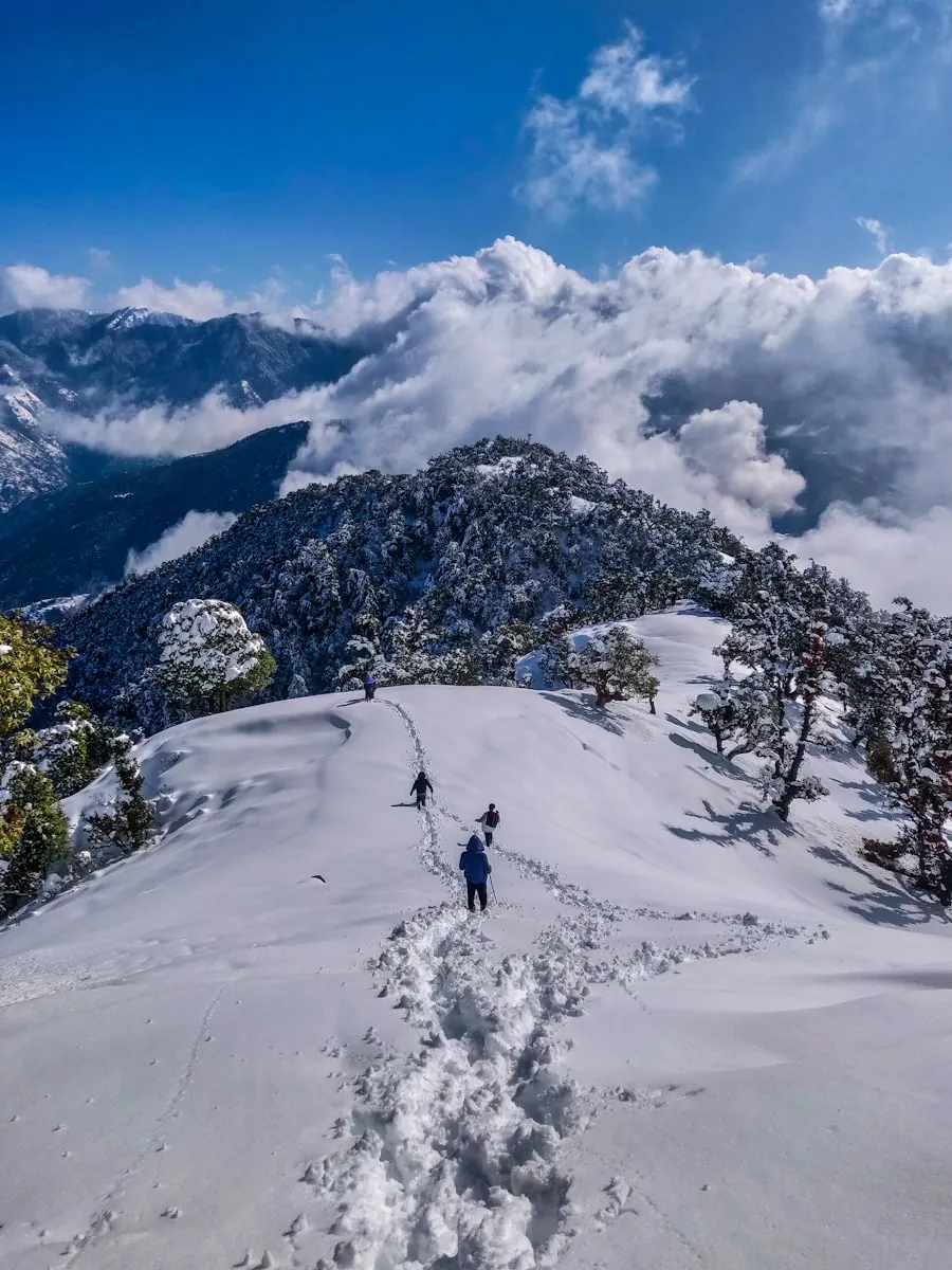 Shimla & Manali Alpine Tour