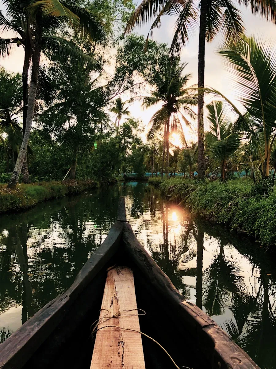 Munnar & Thekkady Honeymoon