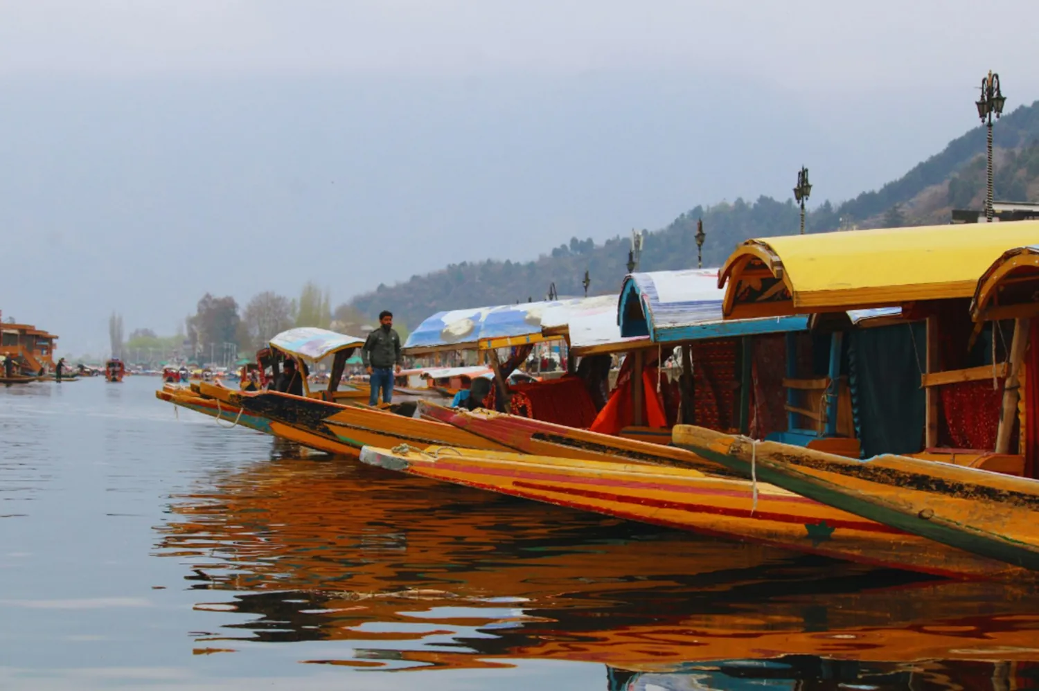 Kashmir